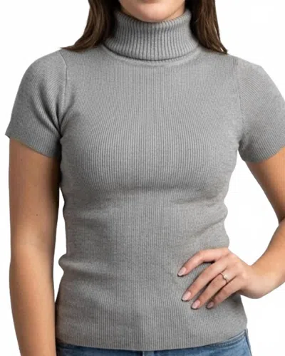 Olivaceous Griffin Mock Neck Sweater In Grey In Gray