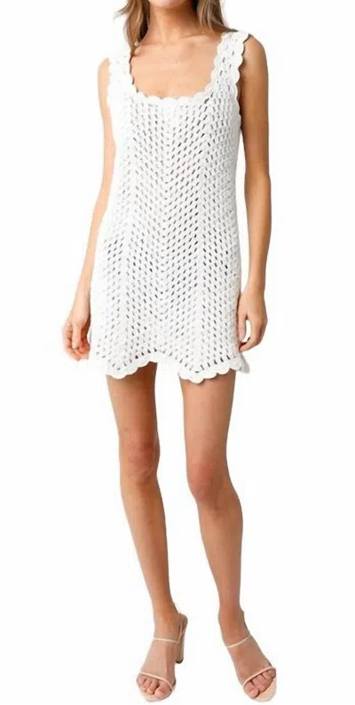 Olivaceous Isle Crochet Mini Dress In White