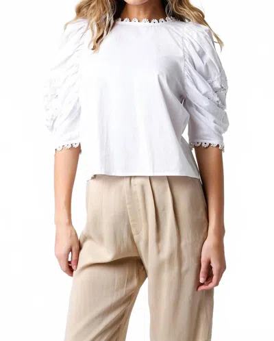 Olivaceous Ivy Top In White