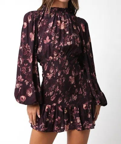 Olivaceous Josephine Dress In Purple
