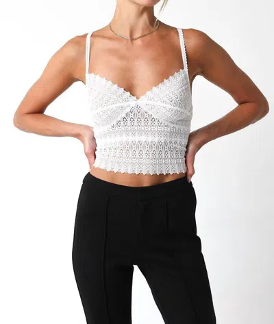 Olivaceous Lace Crop Top In Off White