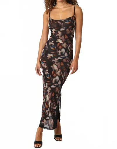 Olivaceous Lina Mesh Dress In Black Multi