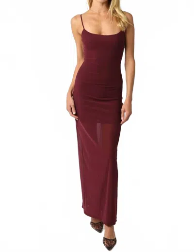 Olivaceous Noelle Mesh Dress In Burgundy
