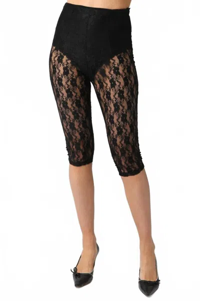 Olivaceous Roxy Sheer Lace Capri Pants In Black