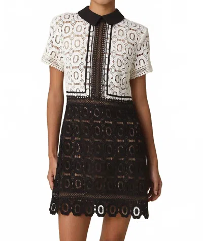 Olivaceous Skye Contrast Lace Mini Dress In Black