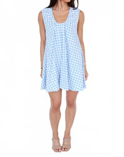 Olivaceous The June Gingham Mini Dress In Light Blue