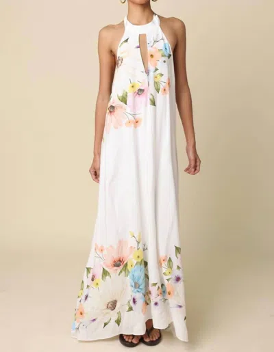 Olivaceous Women's Shira Halter Maxi Dress In White Floral In Multi