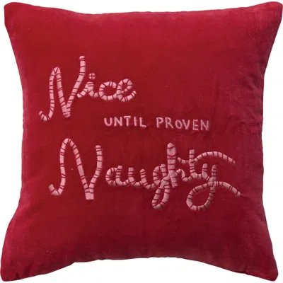 Olive Grove Cotton Velvet Pillow With Embroidered, Red & Light Pink