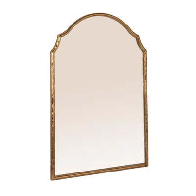 Olive Grove Framed Wall Mirror With Detailed Trim In Gold