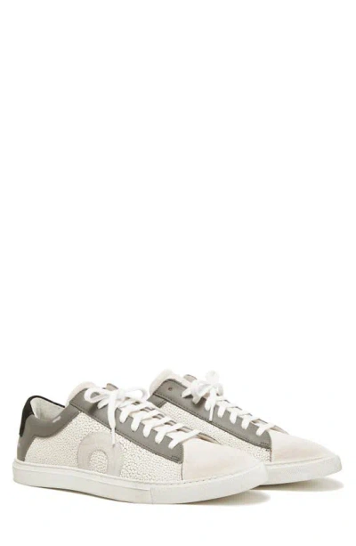 Oliver Cabell Low 1 Sneaker In Stingray