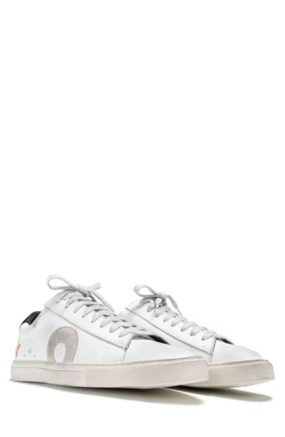 Oliver Cabell Low 1 Sneaker In Tigger