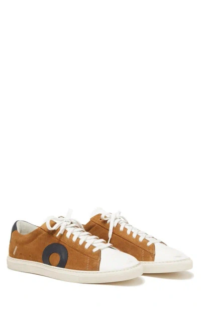 Oliver Cabell Low 1 Sneaker In Wheat