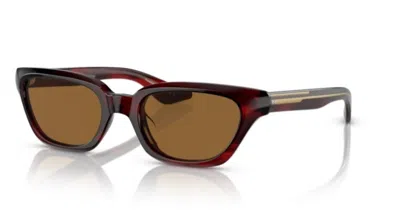 Pre-owned Oliver Peoples 0ov5512su-1983c 167553 Bordeaux Bark/brown Women's Sunglasses In True Brown