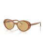 Oliver Peoples Round-frame Sunglasses In 17830f
