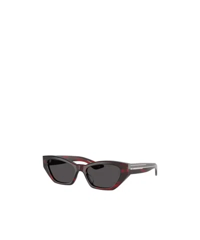 Oliver Peoples 1961c Bordeaux Bark In Brown