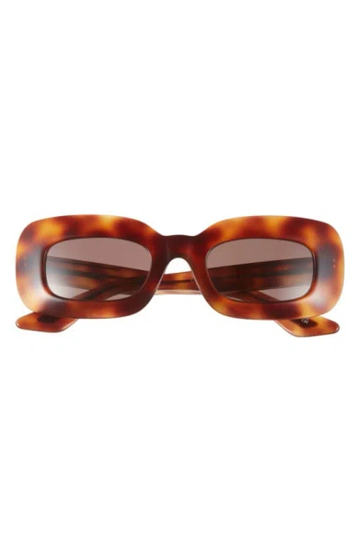 Oliver Peoples 1966c 49mm Square Sunglasses In Brown