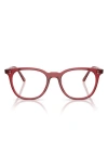 Oliver Peoples 49mm Pillow Optical Glasses In Brown