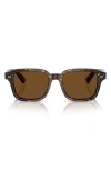 Oliver Peoples 51mm Pillow Sunglasses In Brown Tortoise