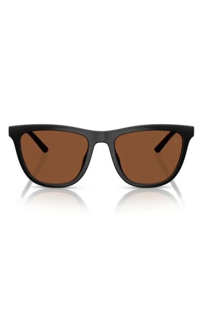 Oliver Peoples 51mm Polarized Pillow Sunglasses In Black Brown