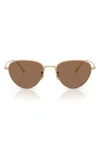 Oliver Peoples 52mm Cat Eye Sunglasses In Brown