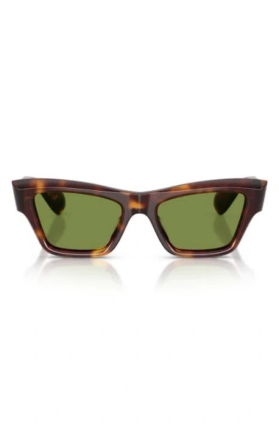 Oliver Peoples 52mm Jil Sander Edition Cat Eye Sunglasses In Multi