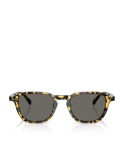 Oliver Peoples Acetate Emryn Sunglasses In Metallic