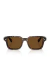 Oliver Peoples Acetate Errisson Sun Sunglasses In Brown