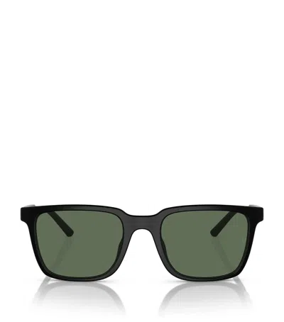 OLIVER PEOPLES ACETATE MR. FEDERER SUNGLASSES