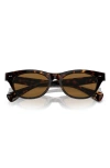 Oliver Peoples Avelin 52mm Butterfly Sunglasses In Shiny Black