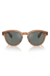 Oliver Peoples Cary Grant 50mm Pillow Sunglasses In Transparent Brown Blue