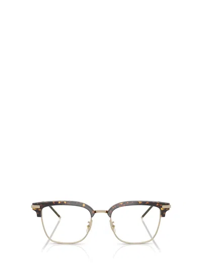 Oliver Peoples Eyeglasses In Brown
