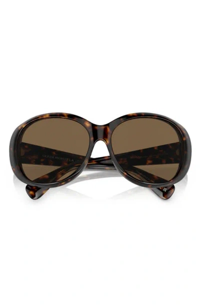 Oliver Peoples Maridan 62mm Oversize Round Sunglasses In Brown