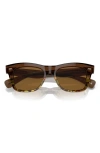 Oliver Peoples Ms. Oliver Acetate Square Sunglasses In Dark Brown