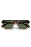 Oliver Peoples R-3 54mm Polarized Round Sunglasses In Dark Green