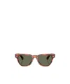 Oliver Peoples Rueny Sunglasses In Brown