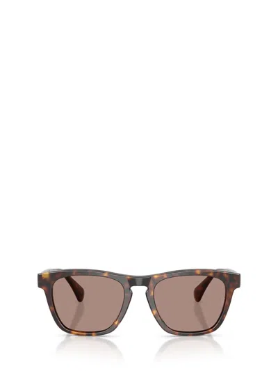 Oliver Peoples Sunglasses In Brown
