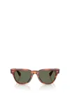 Oliver Peoples Rueny Sunglasses In Brown
