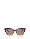 Oliver Peoples Sunglasses In Brown