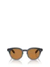 Oliver Peoples Sunglasses In Black