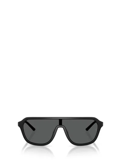 Oliver Peoples Sunglasses In Black