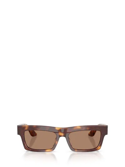 Oliver Peoples Sunglasses In Brown