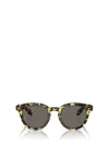 Oliver Peoples Sunglasses In Brown