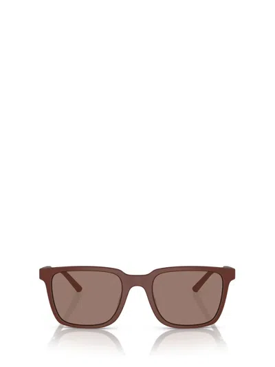 OLIVER PEOPLES OLIVER PEOPLES SUNGLASSES