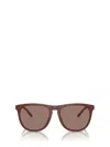 Oliver Peoples Sunglasses In Brown