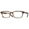 Oliver Peoples Unisex 49mm Raintree Opticals In Multi