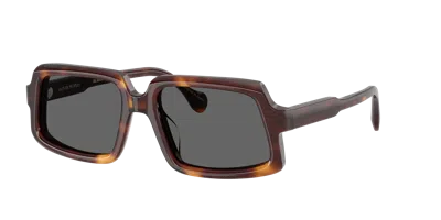 Oliver Peoples Unisex Sunglass Edition 9 In Brown