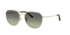 Oliver Peoples Unisex Sunglass Ov1346s R In Forest Gradient