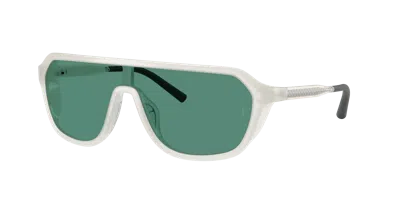 Oliver Peoples Unisex Sunglass Ov5591su R In Forest