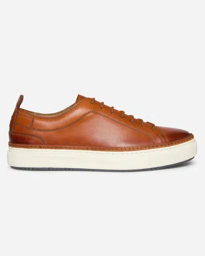 Oliver Sweeney Lopes Mens Leather Cupsole Trainers In Brown