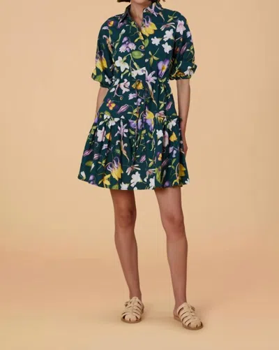 Olivia By Livro Brynn Dress In Farfalla